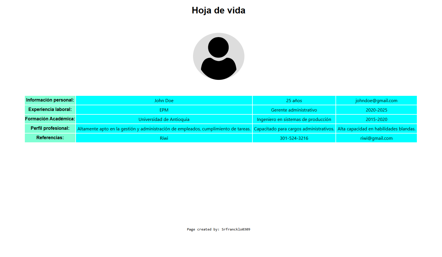 Previsualización del proyecto hojas de vida